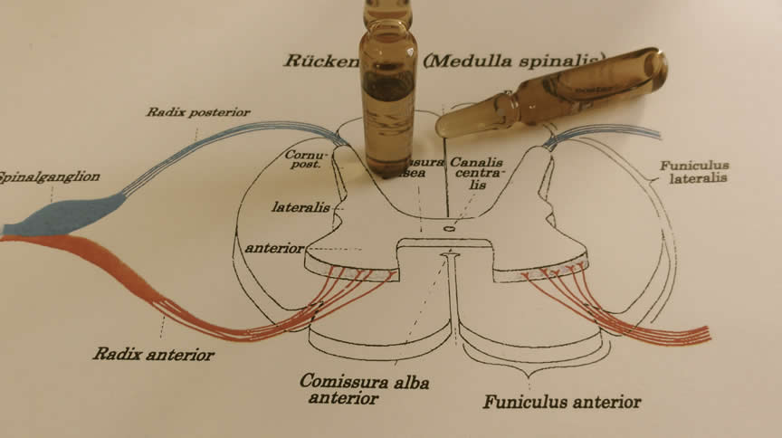 Neuraltherapie in unserer Naturheilpraxis