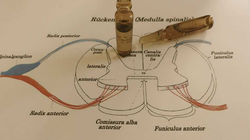 Neuraltherapie in unserer Naturheilpraxis
