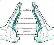 Anwendungsgebiete der Fußreflexzonentherapie