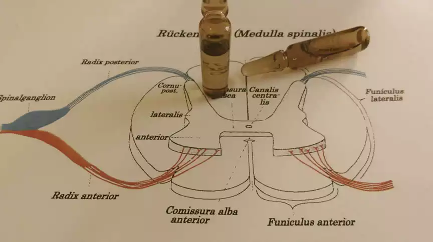 Neuraltherapie